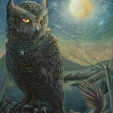 Схема вышивки «Сова-дикий кот»