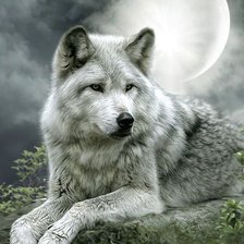 Схема вышивки «волк»