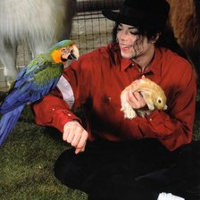 Схема вышивки «майкал джексон»