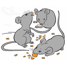 Схема вышивки «xulgana»