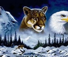 Схема вышивки «духи»