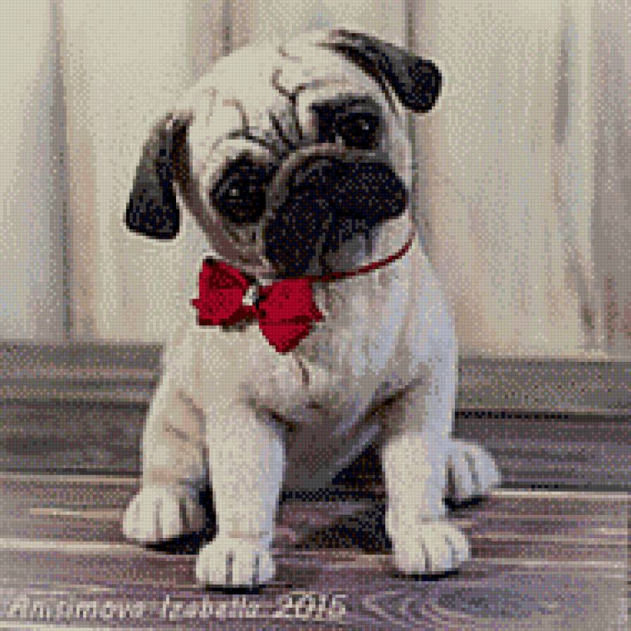 мопс - предпросмотр