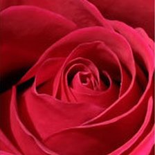 Схема вышивки «Роза-2»