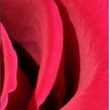 Схема вышивки «Роза-3»