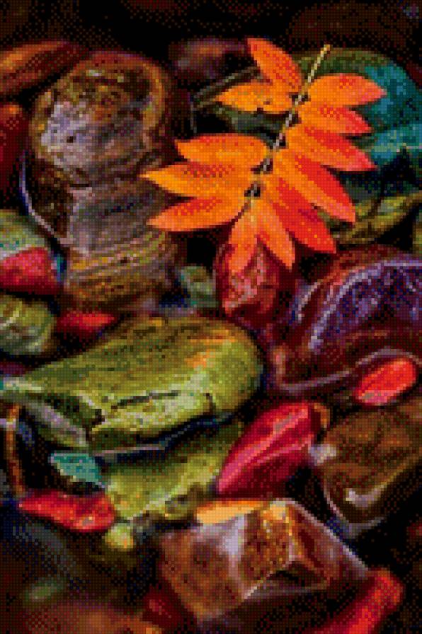 №1055705 - листья, осень - предпросмотр