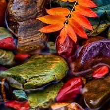 Схема вышивки «№1055705»