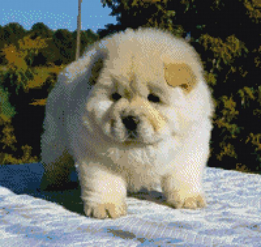 №1055773 - предпросмотр