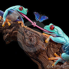 Схема вышивки «Divas vardes.»