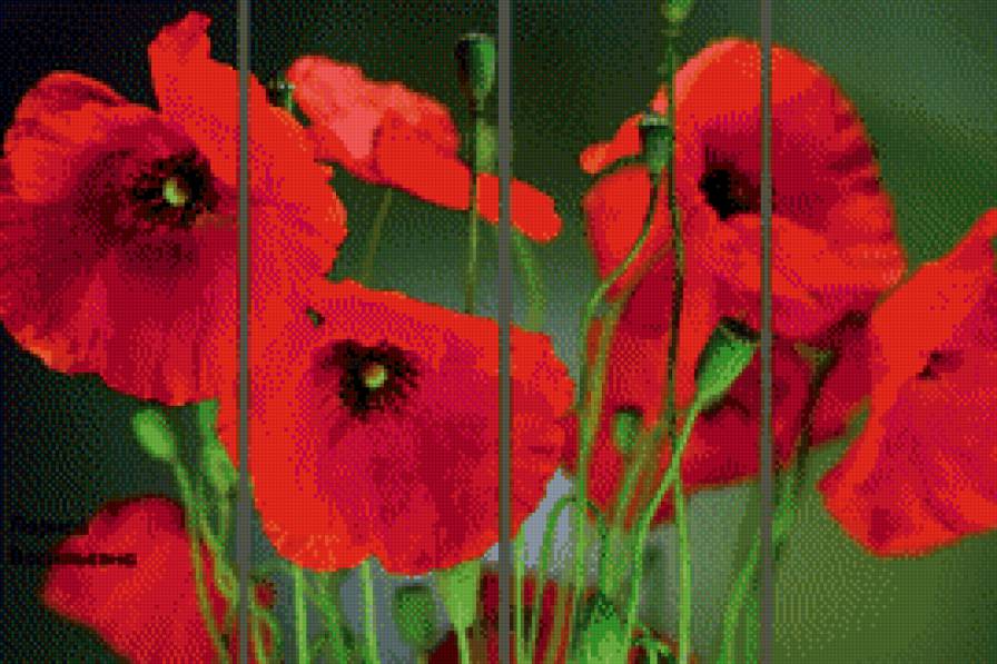 маки - триптих, маки, цветы - предпросмотр