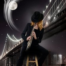 Схема вышивки «ночная мелодия»