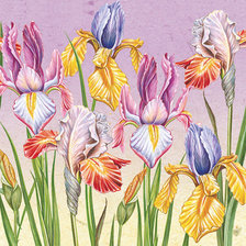 Схема вышивки «ирисы»