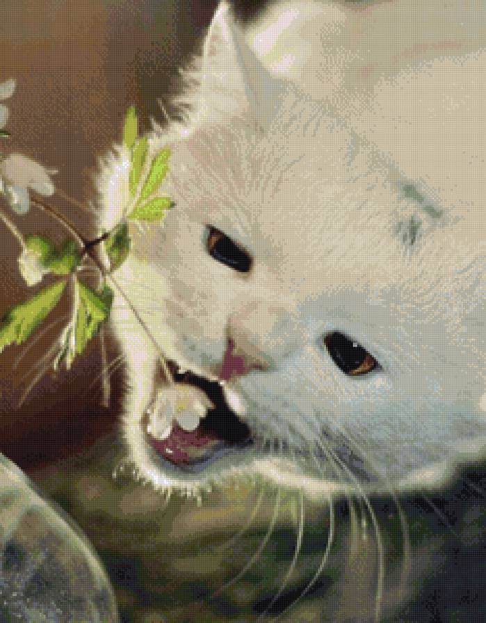 Клубничка - это вкусно! - цветок, кошка, клубника - предпросмотр