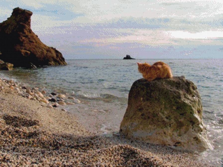 На отдыхе. - крым, море, скалы, кот, галька - предпросмотр