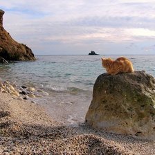 Схема вышивки «На отдыхе.»