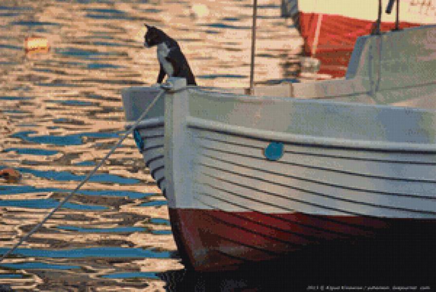 Капитан - севастополь, лодки, кот, балаклава, крым, море - предпросмотр