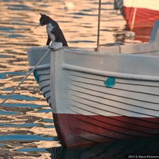 Схема вышивки «Капитан»