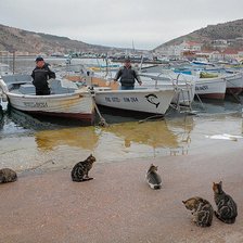 Схема вышивки «Рыбнадзор»