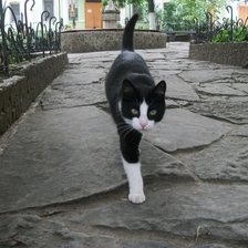 Схема вышивки «Хозяин идет»