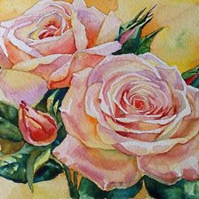 цветы надежды