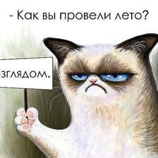 Схема вышивки «Кот и лето»