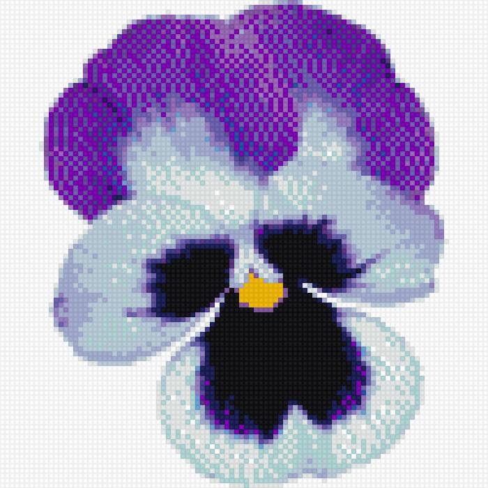 анютка - предпросмотр