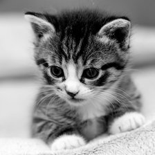 Схема вышивки «№1056940»