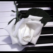 Схема вышивки «роза 2»