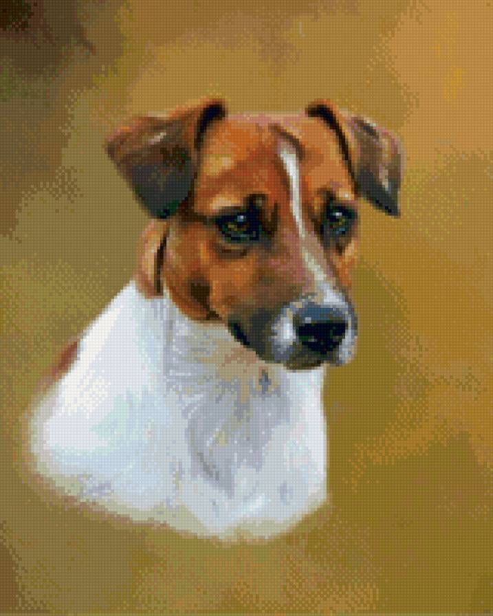 джек - предпросмотр