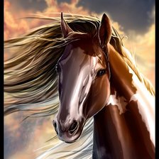 Схема вышивки «мустанг»