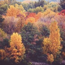 Схема вышивки «№1057250»