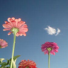 Схема вышивки «лето на даче»