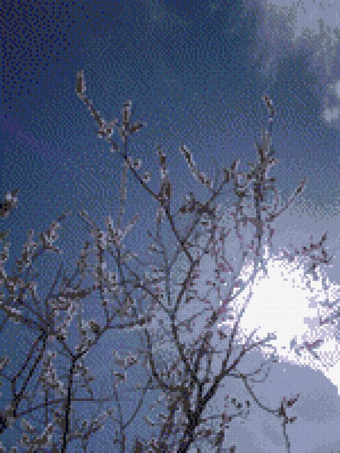 весна пришла - деревья в цвету, небо, весна - предпросмотр