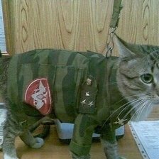 Схема вышивки «Настоящий полковник»