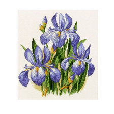 Схема вышивки «Ирисы»