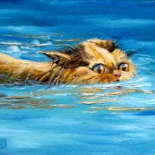 Схема вышивки «Заплыв»