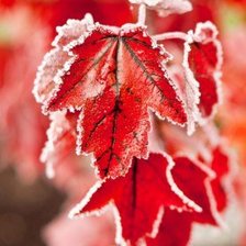 Схема вышивки «Зима»