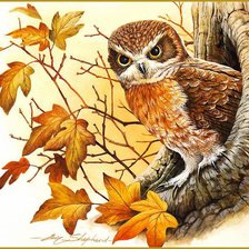 Схема вышивки «сова»