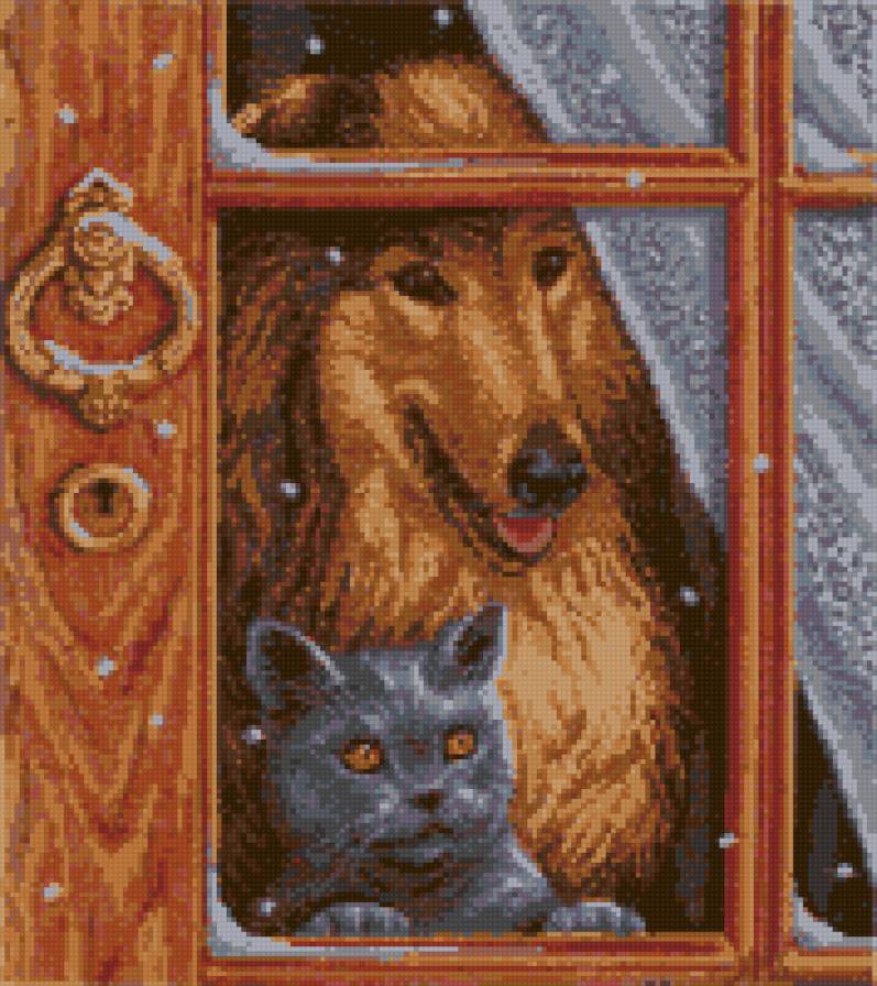 ожидание - животные - предпросмотр