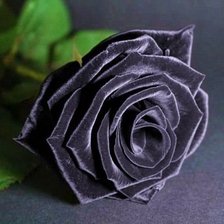 Схема вышивки «роза»