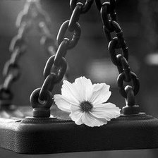 Схема вышивки «моно»