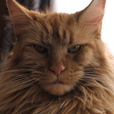 Схема вышивки «мейн-кун»