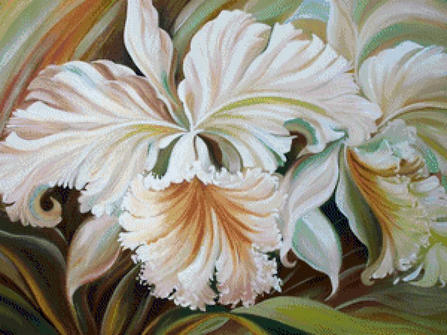 Орхидеи - орхидея, цветы, букет, цветок - предпросмотр