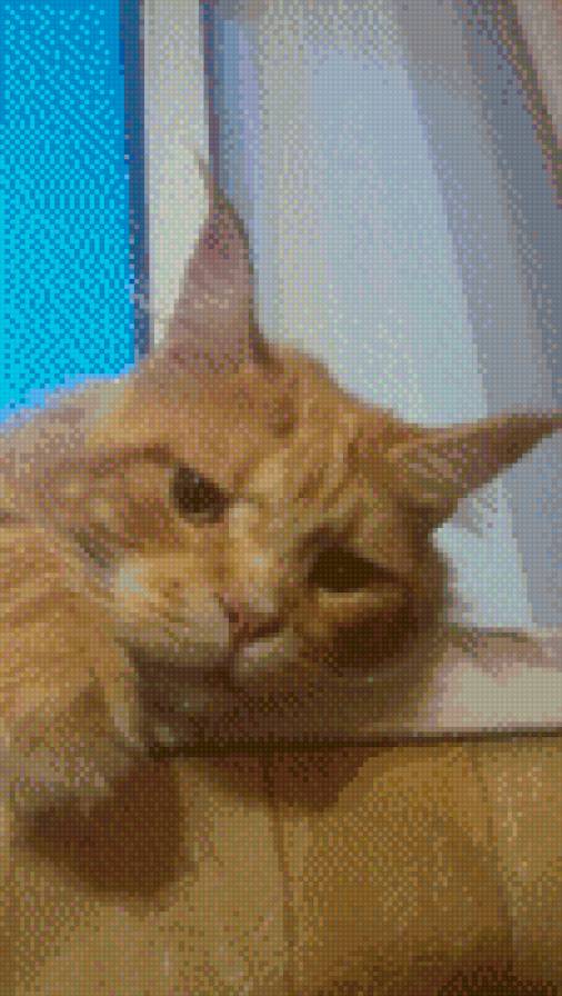 Рыжуля 2 - предпросмотр