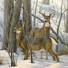 Схема вышивки «№1058578»