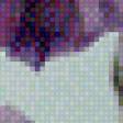 Предпросмотр схемы вышивки «Pure iris» (№1058616)