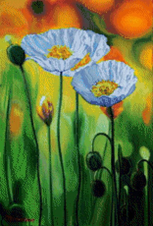 Белые маки - цветы, искусство, картина, живопись - предпросмотр