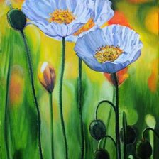 Схема вышивки «Белые маки»