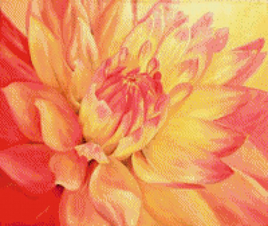 Георгин - искусство, живопись, цветы, картина - предпросмотр