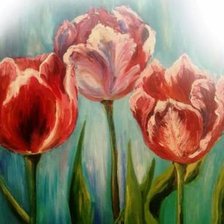Тюльпаны