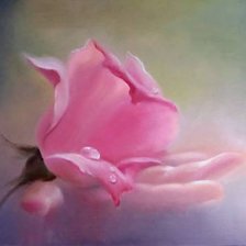 Роза на ладони